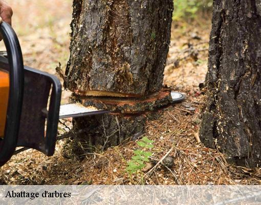 Abattage d'arbres