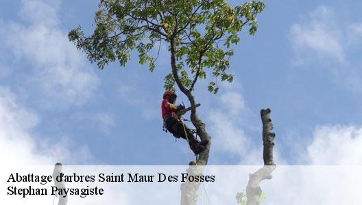 Abattage d'arbres  94100