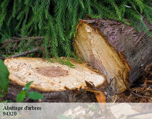 Abattage d'arbres 94320