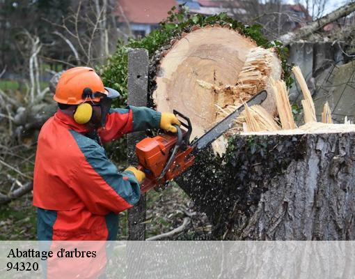 Abattage d'arbres