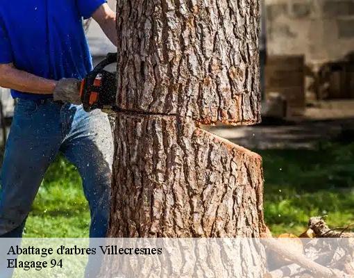 Abattage d'arbres  villecresnes-94440 Elagage 94