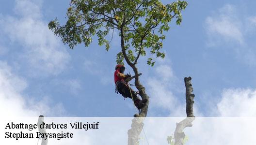 Abattage d'arbres  94800