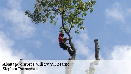 Abattage d'arbres  94350