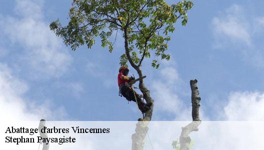 Abattage d'arbres 94300