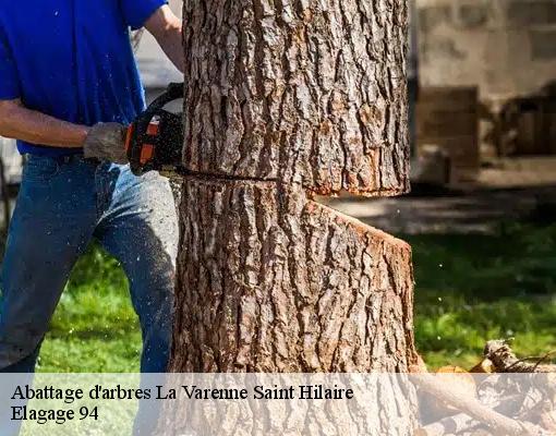Abattage d'arbres  la-varenne-saint-hilaire-94210 Elagage 94