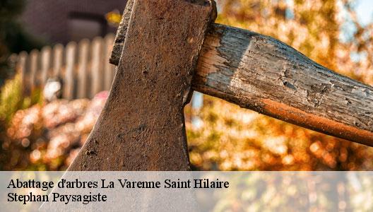 Abattage d'arbres 94210