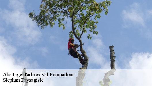 Abattage d'arbres  94460