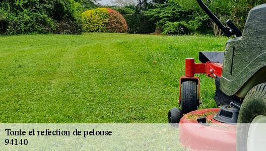 Tonte et refection de pelouse 94140