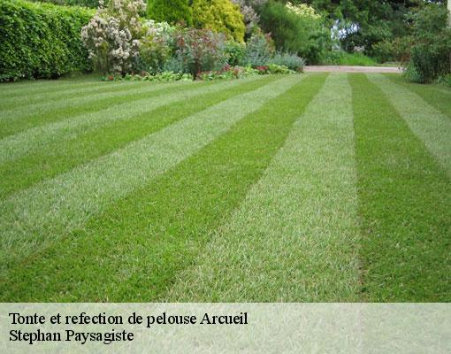 Tonte et refection de pelouse  arcueil-94110 Stephan Paysagiste