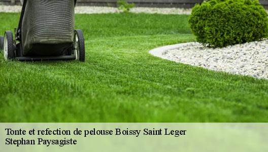 Tonte et refection de pelouse  94470