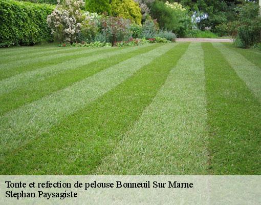 Tonte et refection de pelouse  bonneuil-sur-marne-94380 Stephan Paysagiste