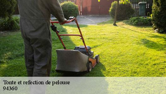 Tonte et refection de pelouse  94360
