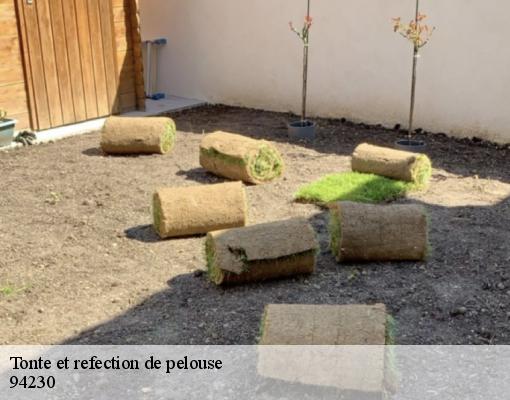 Tonte et refection de pelouse  94230