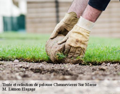 Tonte et refection de pelouse  94430