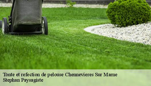 Tonte et refection de pelouse  94430