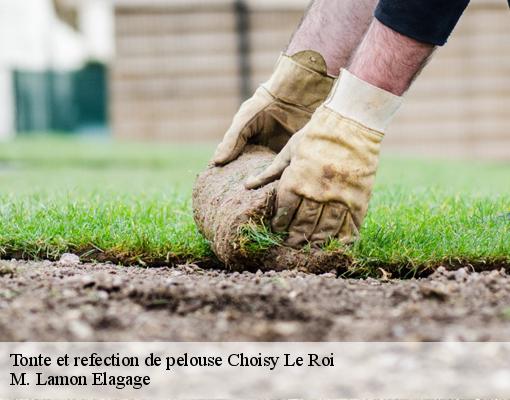 Tonte et refection de pelouse 94600
