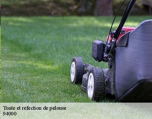 Tonte et refection de pelouse 94000