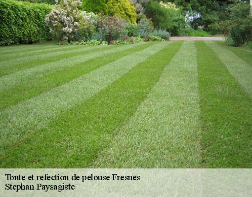 Tonte et refection de pelouse  fresnes-94260 Stephan Paysagiste