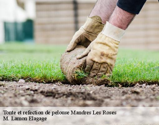 Tonte et refection de pelouse 94520