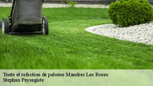 Tonte et refection de pelouse 94520