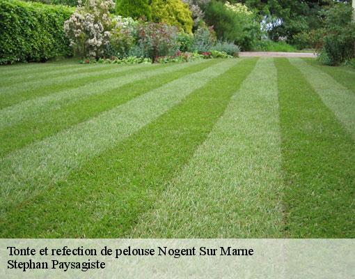 Tonte et refection de pelouse  nogent-sur-marne-94130 Stephan Paysagiste