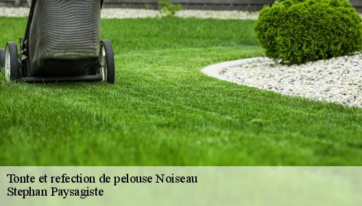 Tonte et refection de pelouse 94880