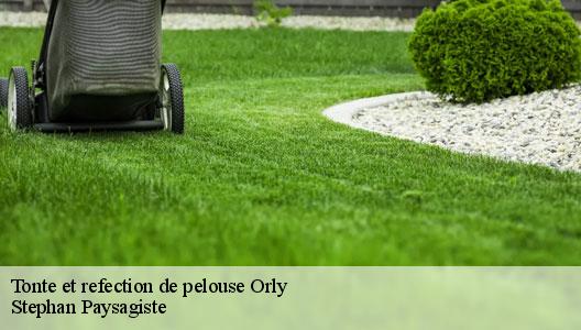 Tonte et refection de pelouse  94310