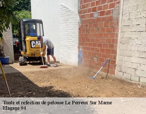 Tonte et refection de pelouse le-perreux-sur-marne-94170 Elagage 94