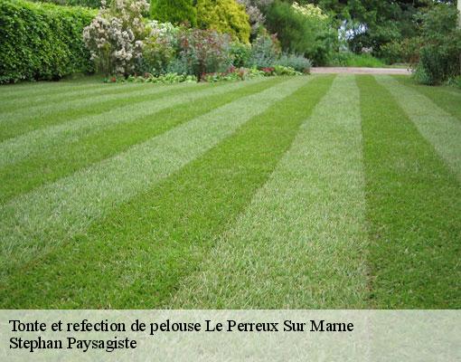 Tonte et refection de pelouse le-perreux-sur-marne-94170 Stephan Paysagiste