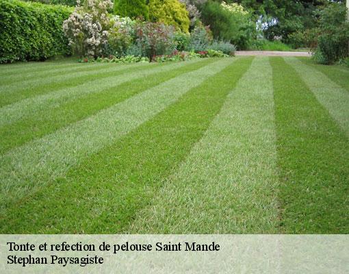 Tonte et refection de pelouse  saint-mande-94160 Stephan Paysagiste