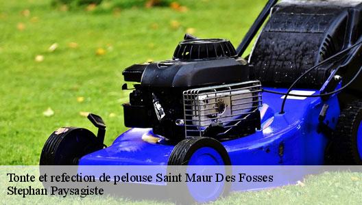 Tonte et refection de pelouse 94100