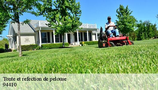 Tonte et refection de pelouse  94410