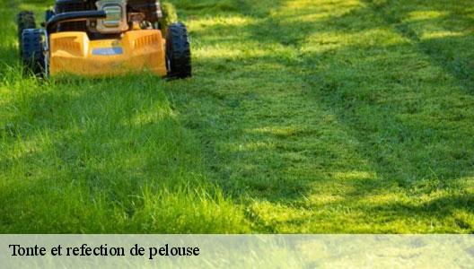Tonte et refection de pelouse  94410