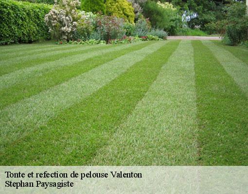 Tonte et refection de pelouse  valenton-94460 Stephan Paysagiste