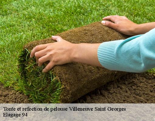 Tonte et refection de pelouse