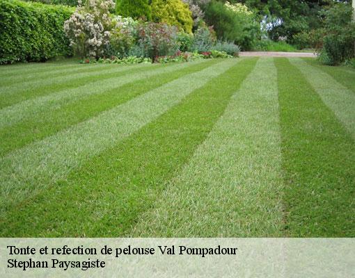 Tonte et refection de pelouse  val-pompadour-94460 Stephan Paysagiste