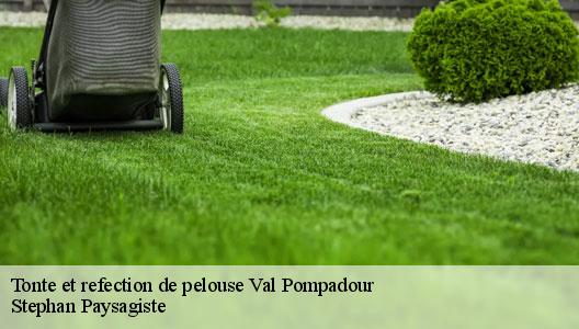 Tonte et refection de pelouse  94460