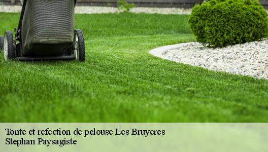 Tonte et refection de pelouse  94370