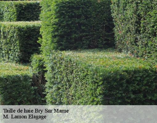 Taille de haie  94360