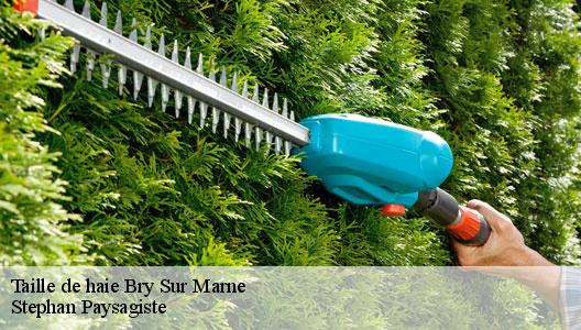 Taille de haie  94360