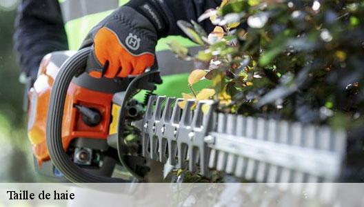 Taille de haie  94230
