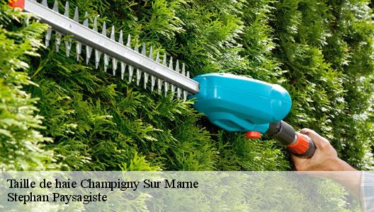 Taille de haie  94500