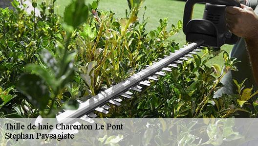 Taille de haie  94220