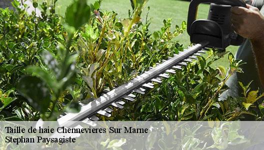 Taille de haie  94430