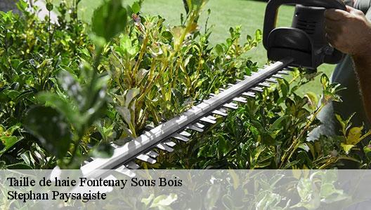 Taille de haie  94120