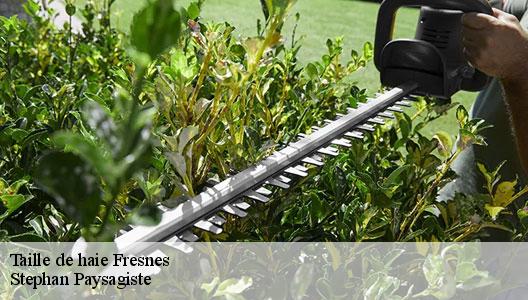 Taille de haie  94260