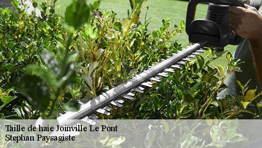 Taille de haie  94340