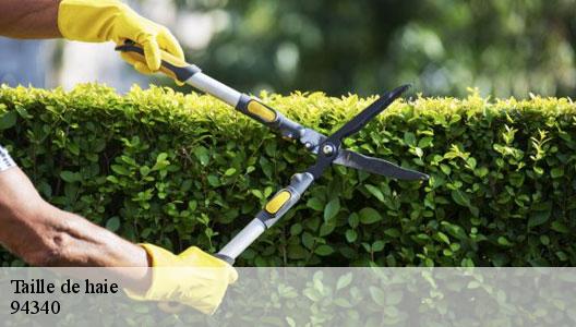 Taille de haie  94340