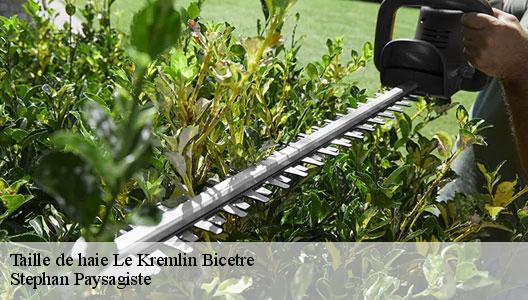 Taille de haie  94270