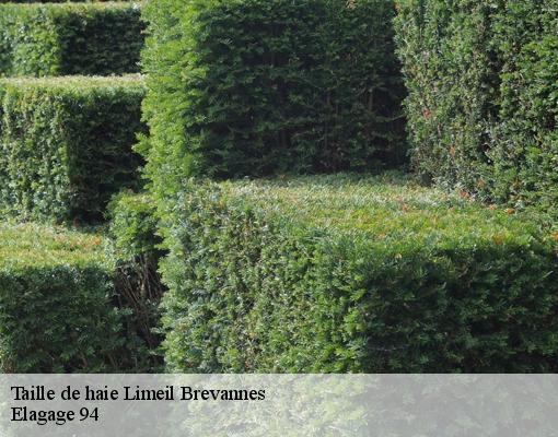 Taille de haie  94450